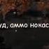 Танхо будам