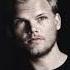 Avicii Never Leave Me Feat Joe Janiak Instrumental