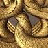 Introduction To Spline Nodes In Substance Designer Adobe Substance 3D