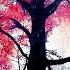 Amethystium Autumn Interlude Best Relaxing Electronic Music