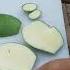 Mango Pickle Pickle Masala Mango Viralvideo Cookingfood
