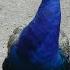How The Peacock Listened To Youtub Как павлин ютуб слушал