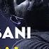 Behnam Bani Mahe Asal I Live In Concert بهنام بانی ماه عسل
