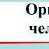 Организм человека Окружающий мир 3 класс 1 часть Учебник А Плешаков стр 122 125