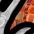 Putting Your Hand In The Large Hadron Collider