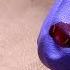 Analysing Forensic Evidence The Laboratory