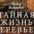 Тайная жизнь деревьев Что они чувствуют как они общаются Вольлебен Петер