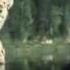 Motorama Rose In The Vase Official Video
