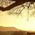 Future Prophecies September