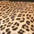 Sarthana Natural Park Surat Gujarat 2023