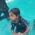 Kanima Swimming Pool Watch Till End