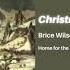 Brice Wilson Christmas Tree Interlude Official Audio