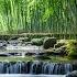Relaxing Babbling Brook In Bamboo Grove Sounds Nature Sounds For Sleeping White Noise