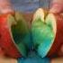 What S Inside This Apple
