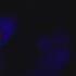 FNAF VR Help Wanted Parts And Service Nightmare Mode Chica
