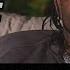 Bleu Davinci This Is How I Found Out Big Meech Tammy Cowins Were Snitches They Changed His Time