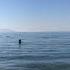 Море волнуется раз море волнуется два море волнуется три