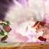 Super Smash Bros 1 Wave 1 5 Dr Mario Vs Young Link No TAS