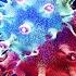 探索疫象 看懂新冠數值 COVID 19 變種病毒 冠狀病毒