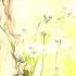 Psalm 146 By Patrick And Rebecca Bujak