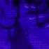 FLESH LIZER CYBER BASTARDS Prod By Lunar Vision