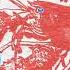 The B52s Rock Lobster Joda Remix