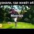 блогеры узнали где живёт а4