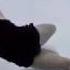 Calavera Manya I Feel Siente Me Video Edit