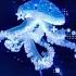Jellyfish Playlist