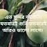 Surah Al Ahjab Surah Quran Koly Islamicrecitation Fypシ Tranding