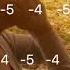 HARMONICA TAB From The West Indiara Sfair
