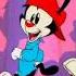 Animaniacs Todas Las Variantes De La Intro Latino 1993 2020