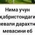 Нима учун қабристондаги Hikmatlar Hadislar Rek Shorts
