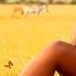Calming Swahili Love Songs For Relaxation Romance Healing Peace