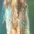 Sarah Brightman The Journey Home