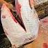 Amazing Catla Carp Fish Cutting Skills In Bangladesh Fish Market By Expert Cutter Shorts