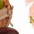 Action 10 Module 4 Organic Vs Non Organic World