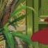 The Secret World Of Arrietty Now Playing HD