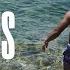 Sus Midnight In Ibiza Official Video