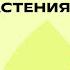 Проводящая система растения Биология 6 класс Домашняя школа Фоксфорда