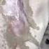 The Secret Trick To Remove Blood Stains