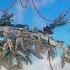 Unravel Official Story Trailer