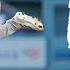 Giants Vs Dodgers Game Highlights 6 13 25 MLB Highlights