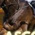 Royal Ascot Thursday Group 1 Gold Cup Banker 25 1 Gamble 8 1 Handicap Pick