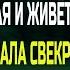 Твой муж у другой она красивая и живет в роскоши любовные истории измена аудио рассказ