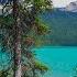 2 HRS Virtual Walk Around Emerald Lake Yoho National Park 4K Nature Walking Tour Birds Chirping
