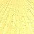 Dum Pater Familias Codex Calixtinus