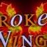BROKEN WINGS 9icn