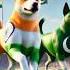 India Vs Pakistan Dog Race क न ज त ग Shorts Short Ytshorts Viralshorts Trendingshorts Ai