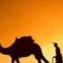Santos Camels Dirk Dreyer And Marcus Layton Remix